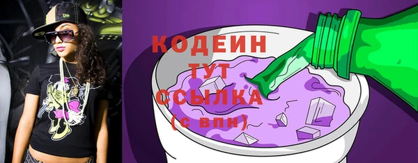 индика Мегион