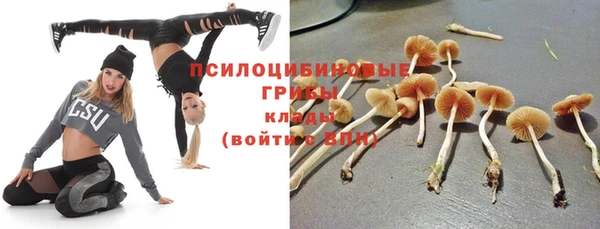 каннабис Медвежьегорск