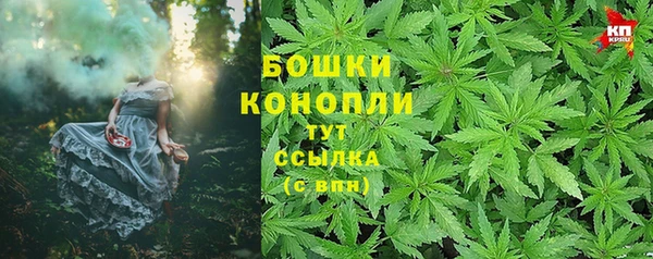 индика Мегион
