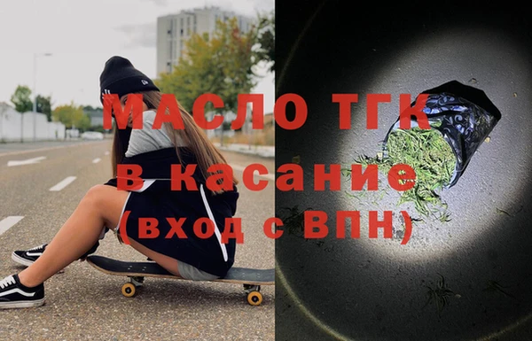 индика Мегион
