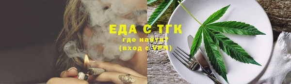 индика Мегион