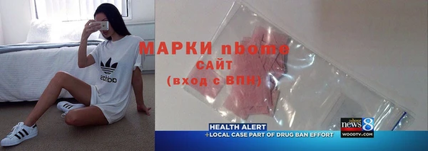 индика Мегион