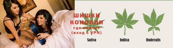 Альфа ПВП Медногорск