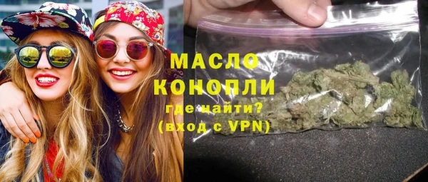 индика Мегион