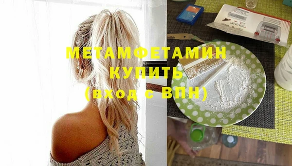индика Мегион