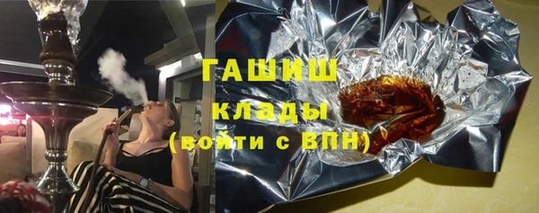 индика Мегион