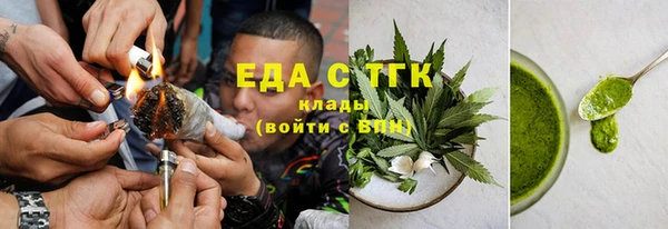 индика Мегион