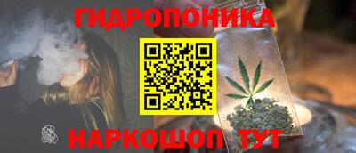 мдпв Донской
