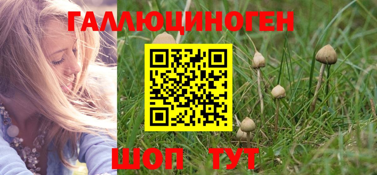 Псилоцибиновые грибы Psilocybine cubensis  Вход с VPN  Галлюциногенные грибы мухоморы  Нижневартовск 